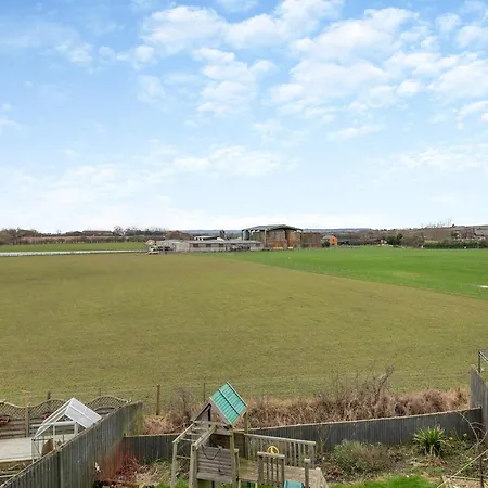 Field View Файли
